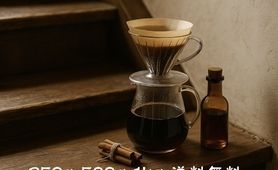 コスタリカ　アズール 100g