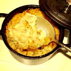 ★香草パン粉でカリッと焼いた広島県産カキと白身魚のラグーのグラタン