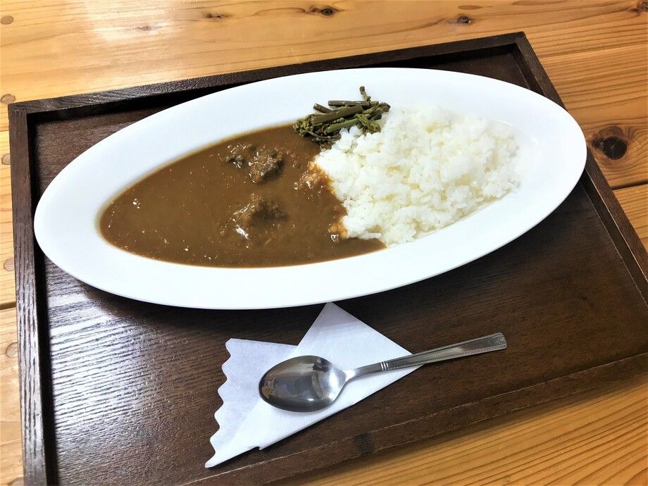 鹿肉カレー