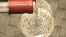 山梨にはたくさんの美味しいものがあります。 