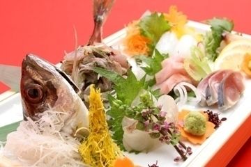 天然魚介のお刺身