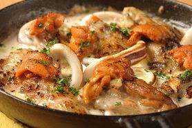 おまかせ特別メニュー