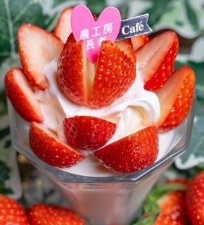 いちごパフェ（１１００円）