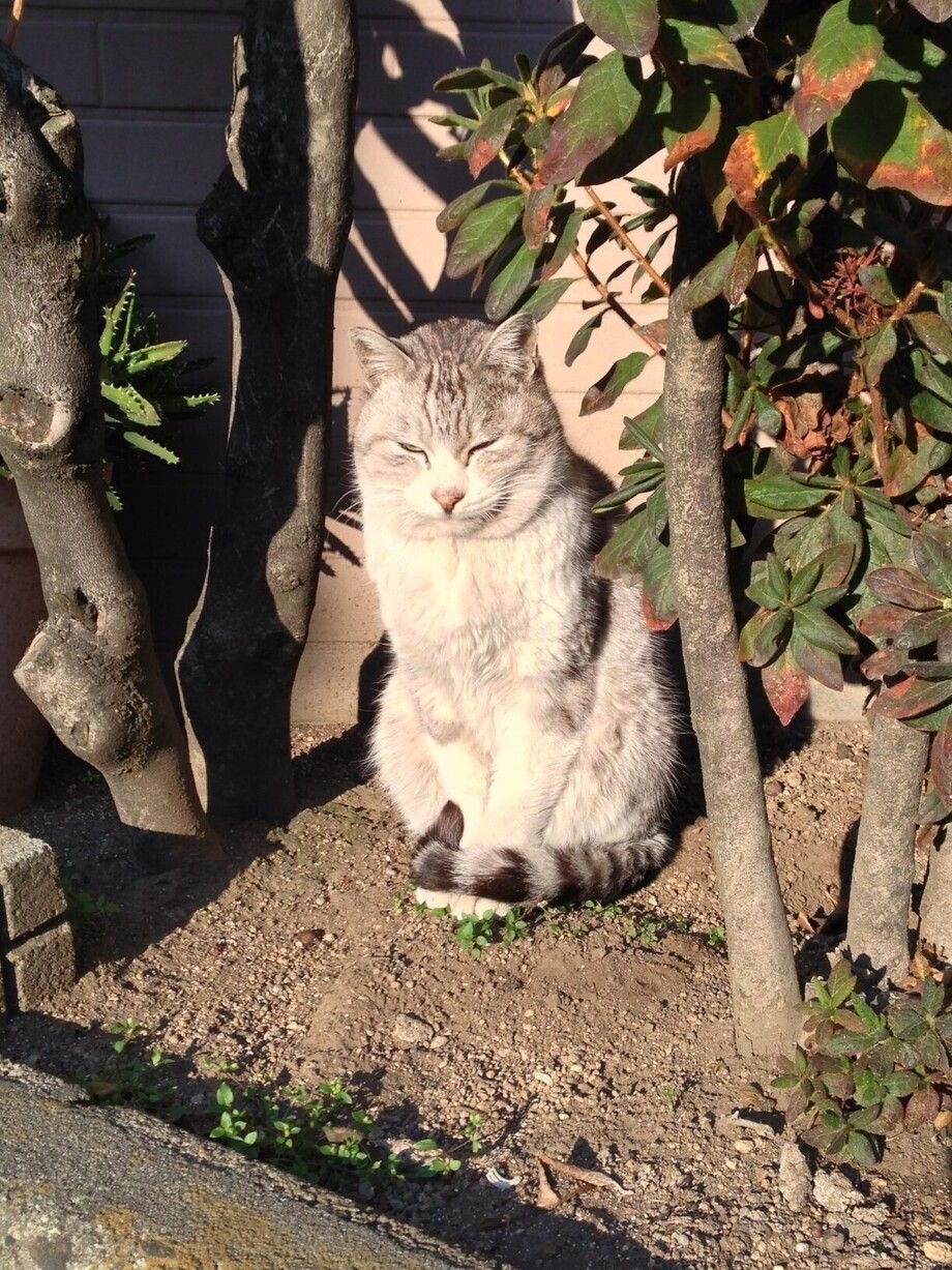 遣り手ババア指名料