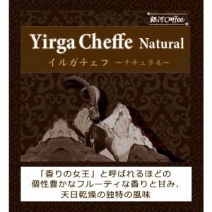 香りの女王（フルーティさNo1）「モカ イルガチェフ ナチュラル」（中煎り）エチオピア コチャレ農園