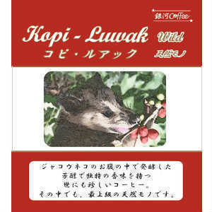 ジャコウネコの体内で発酵「コピ・ルアック（ガヨ高地 天然ジャコウネコ）」（中煎り）インドネシア