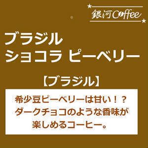 ビターチョコのような香味の希少豆「ショコラピーベリー」（中煎り）ブラジル サントアントニオ