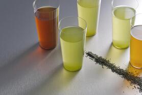 CRAFT TEA（日本茶）　各種