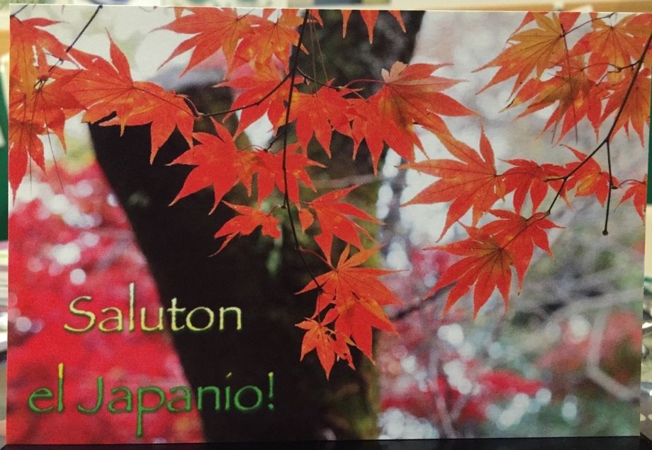 絵ハガキ（100円（税込））