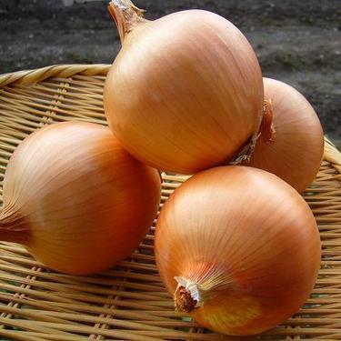 淡路島産　玉葱の丸焼き　オリーブオイル添え（￥432）