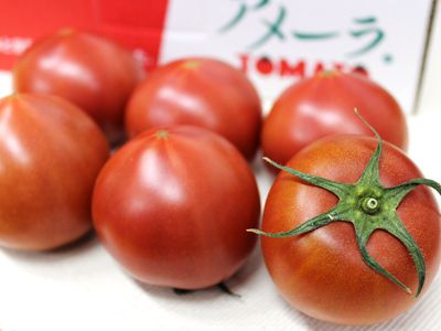 アメーラトマトとモッツァレラチーズのサラダ（￥734）