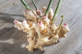 しょうがクリーミー