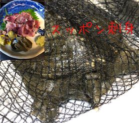 スッポン料理