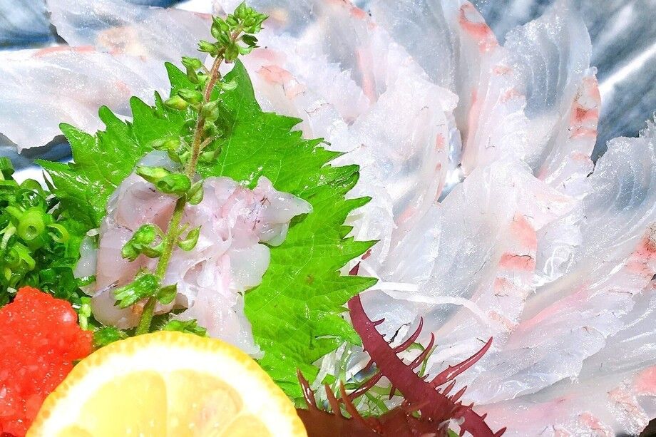 本日のお造り（真鯛）（当日のメニューを参照ください）