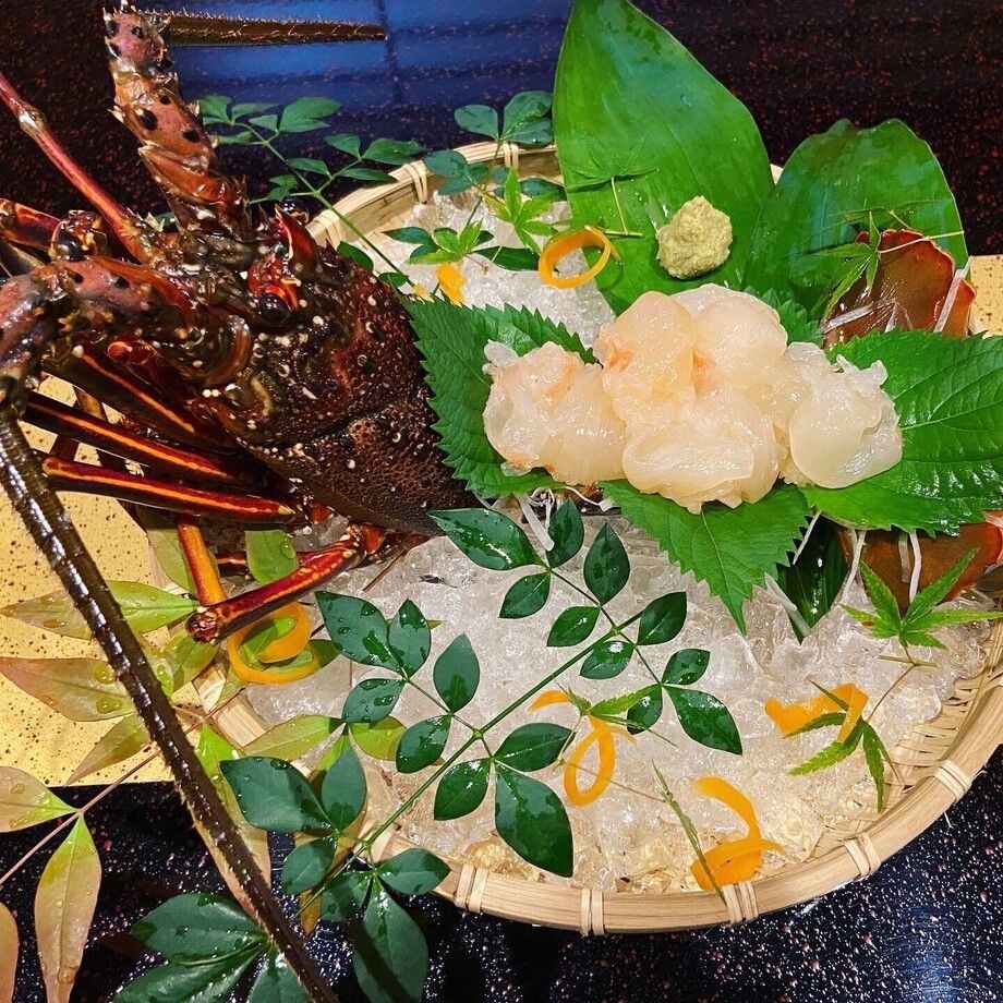 伊勢海老活造り（味噌汁付き）（一尾　13,000円〜時価（税込））