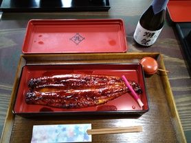 鰻　蒲焼　一尾