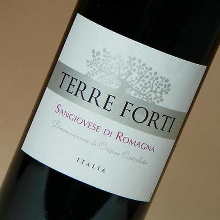 赤ワイン（イタリアワイン・テッレ フォルティ ロマーニャ サンジョヴェーゼ）　赤ワイン（イタリアワイン・テッレ フォルティ ロマーニャ サンジョヴェーゼ）