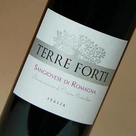 赤ワイン（イタリアワイン・テッレ フォルティ ロマーニャ サンジョヴェーゼ）　赤ワイン（イタリアワイン・テッレ フォルティ ロマーニャ サンジョヴェーゼ）
