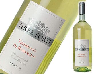 白ワイン（イタリアワイン・ テッレ・フォルティ・トレビアーノ・ディ・ロマーニャ）　화이트 와인(이탈리아 와인 텔레포르티트레비아노)