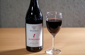 バルベラダスティ