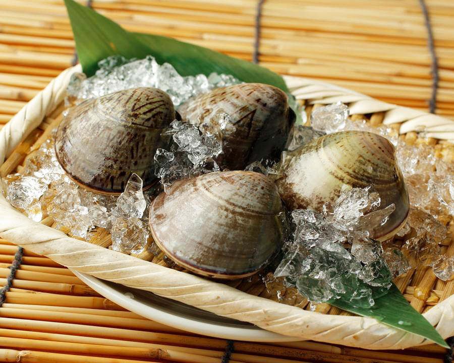 活はまぐり盛り