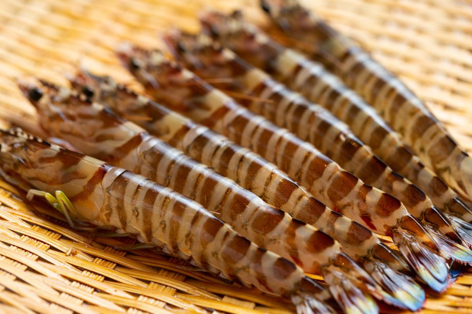 【雅】    9500円（要予約）（天ぷら9種（魚介6種、野菜3種）、酒菜3品、食事、デザート）