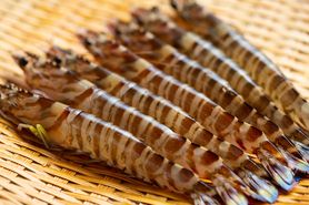 【雅】    9500円（要予約）