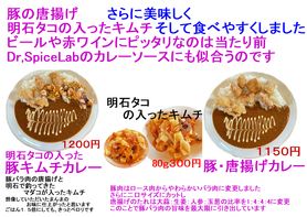 豚・唐揚げカレー他