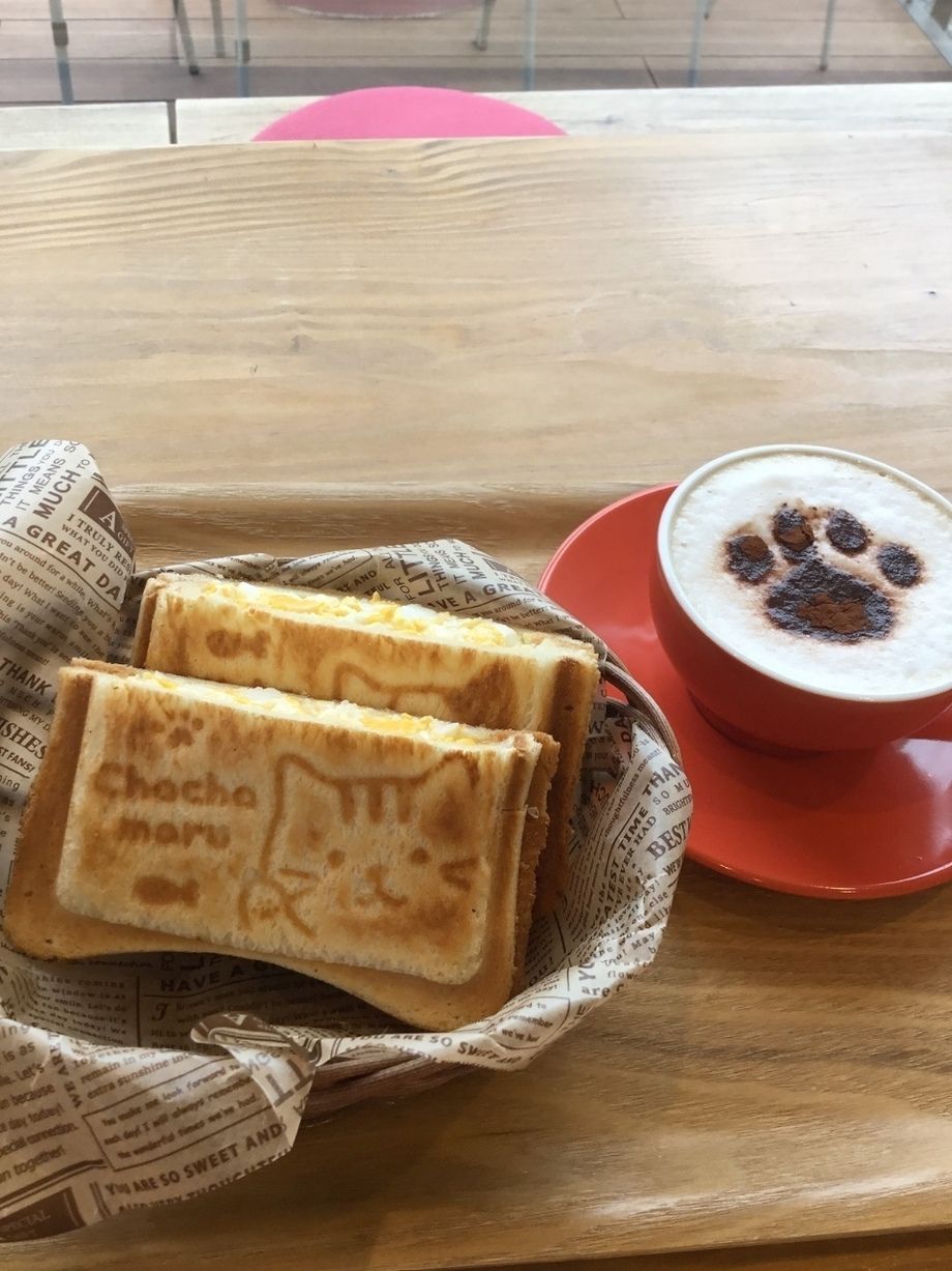 ホットサンドセット(お好きなホットサンド＋お好きなドリンク)