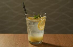 瀬戸内【生】レモンサワー