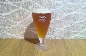 スプリングバレー　豊潤〈496〉