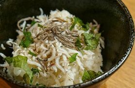 北限しらすミニ丼