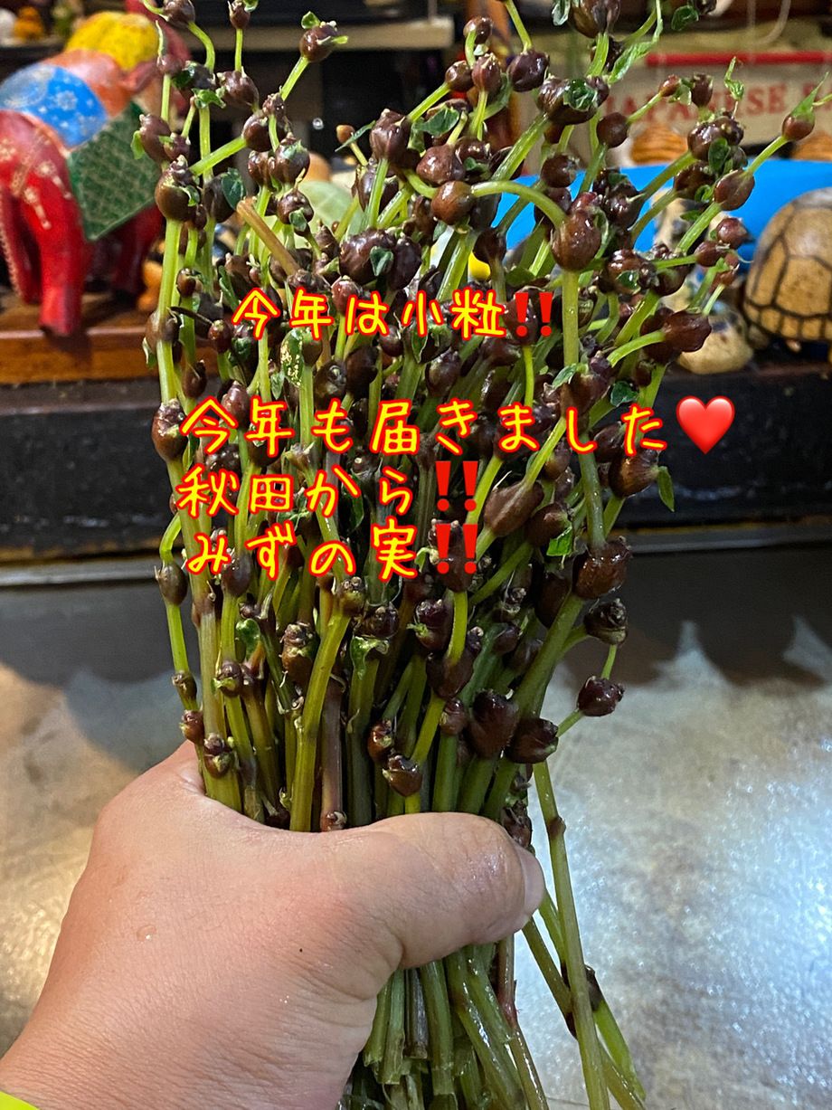 みずの実の浅漬け