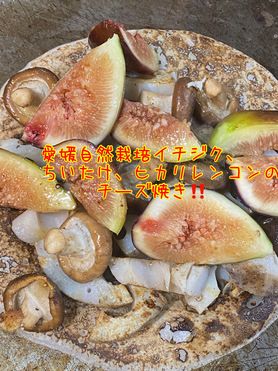 愛媛自然栽培イチジク、軸きのこ、ゴボウのチーズ焼き‼️