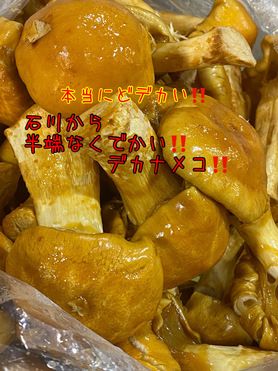 デカなめこと花びら茸のとろろ焼き‼️