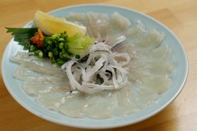 名物とらふぐ刺身