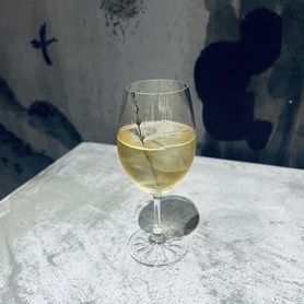 シャルドネとソーヴィニヨン・ブランのスプリッツァー