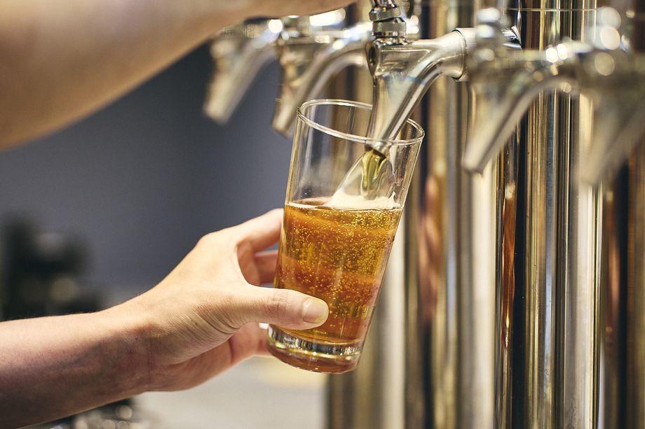 dam pub 自家醸造 デイライト　-IPA-