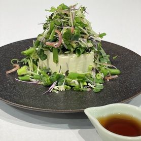 悪魔の薬味豆腐