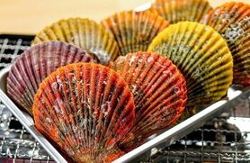 焼きヒオウギ貝