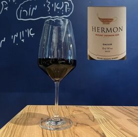 【イスラエルワイン】グラスワイン赤/Mount Hermon Red マウントヘルモンレッド