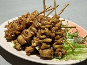 鳥皮パリパリファミリー特盛り