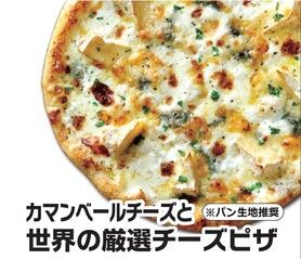 カマンベールチーズと世界の厳選チーズピザ【ハーフ】