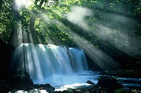 ミネラルウォーター 1本