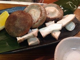 千葉のしいたけ