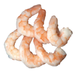 シトラスシュリンプ