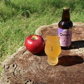 APW(ハードサイダー)