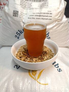 BTT(オーディナリービター)