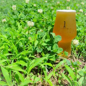 IPK(セッションIPA)