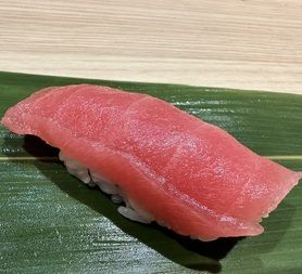 キハダ鮪中トロ　日向細島地物